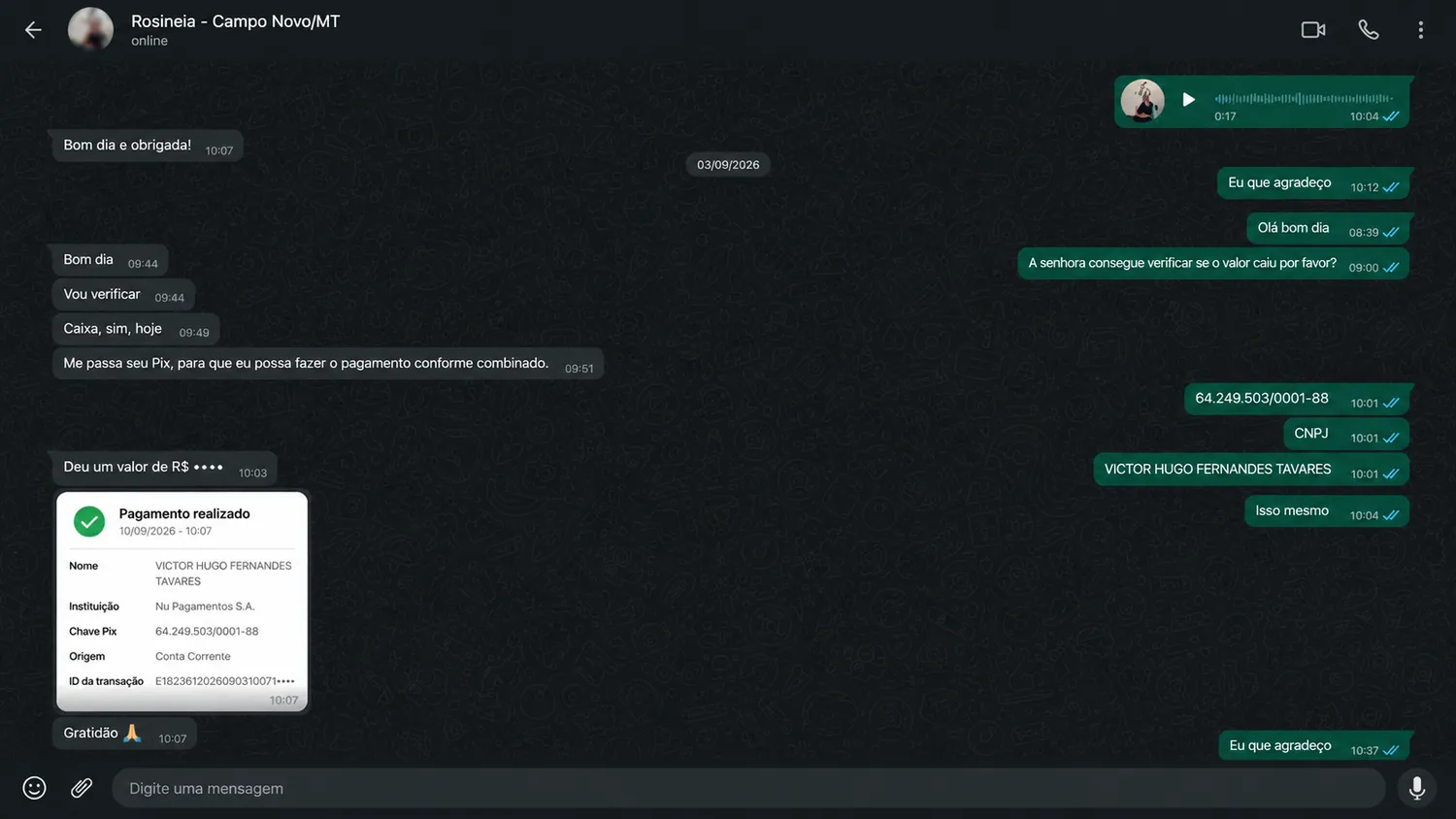 Conversa anonimizada de cliente da ZELO